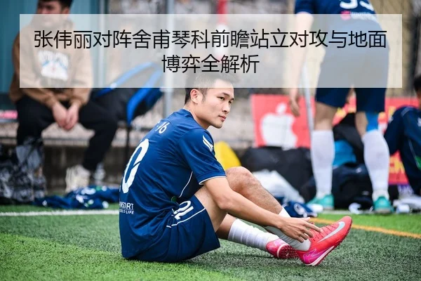 张伟丽对阵舍甫琴科前瞻站立对攻与地面博弈全解析