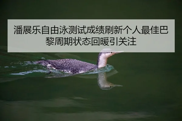 潘展乐自由泳测试成绩刷新个人最佳巴黎周期状态回暖引关注
